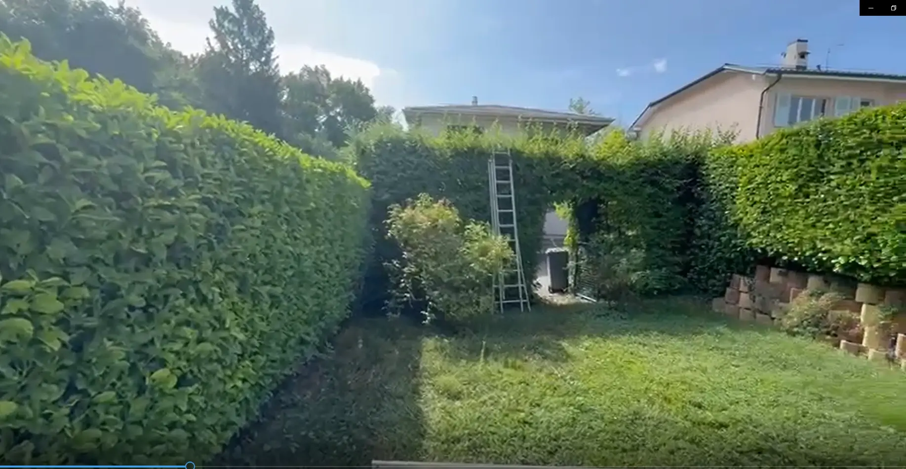 Taille de haie en hauteur dans un jardin genevois